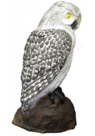 D srt owl