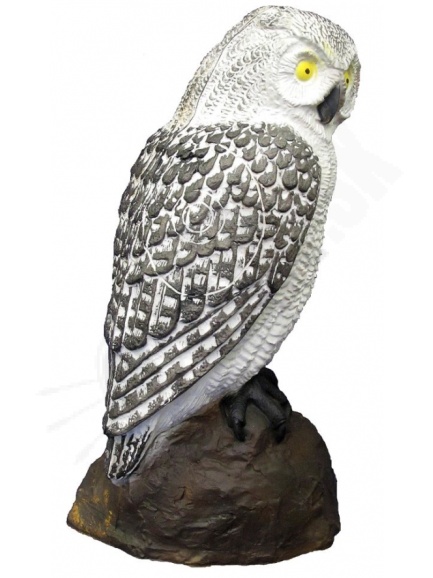 3D srt owl