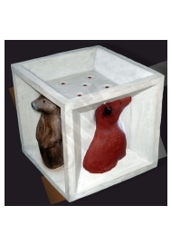 Hyperkocka so 4 zvieratami na luky a kuše