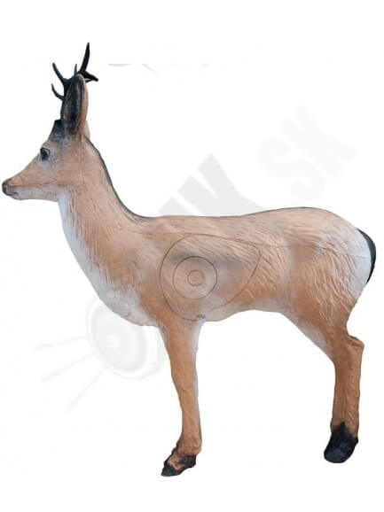 Wild life drinking deer