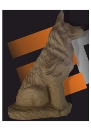 D  ELEVEN sitting wolf E29