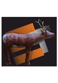 Eleven STAG