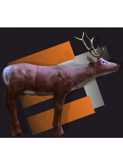 Eleven STAG