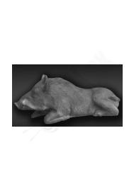 D Eleven bedded boar E47