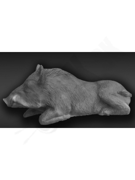 3D Eleven bedded boar E47