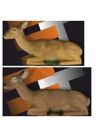 ELEVEN 3D bedded deer