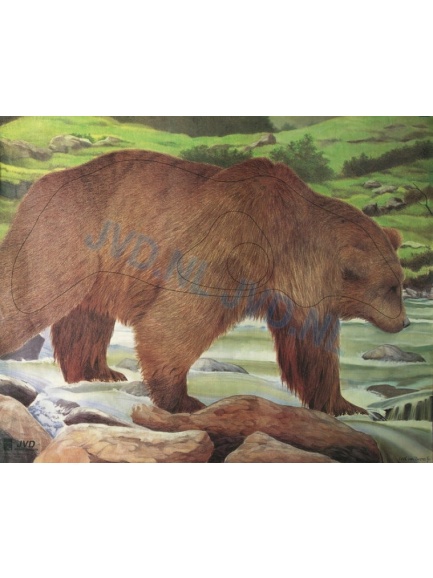 6.5 Target 2D drawn bear JVD large image 122x 98 cm (6029)