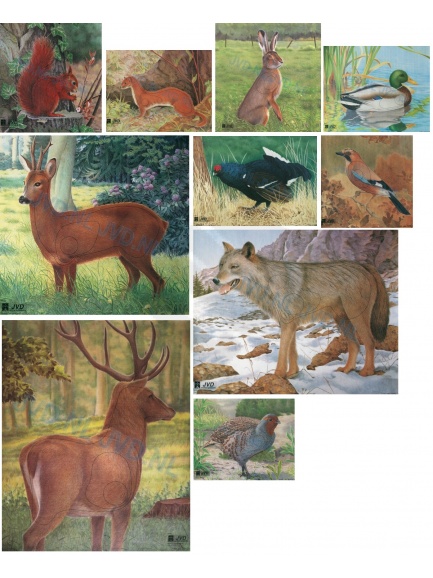 animal face JVD various animal targets