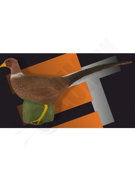 Pheasant eleven 3d