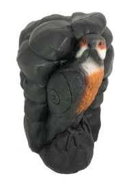 terč orol na skale 3D  Wild life