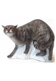 Divá mačka SRT (6343)