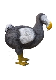 Stredný terč 3D Eleven DODÓ