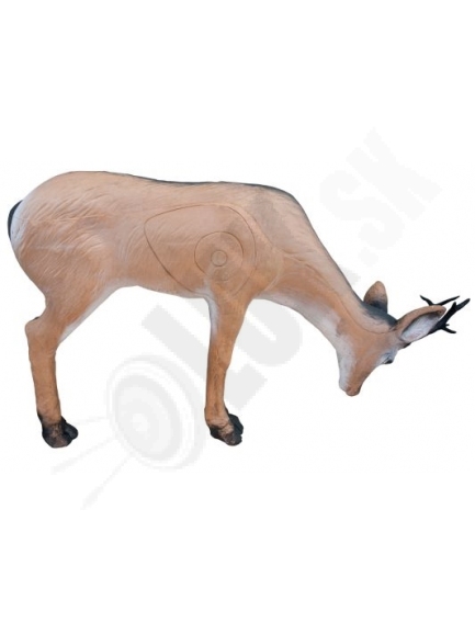4.3.8 3D terč wild life srnec pasúci sa/  pijúci so sklonenými s parohmi  (6189)