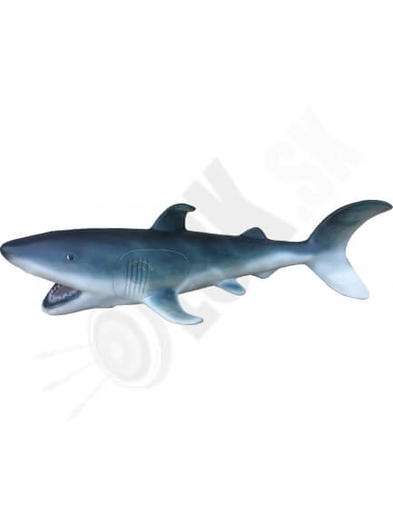 3D Shark Eleven