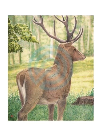 9.7. Veľký podšitý terč jeleňa JVD 99x123 cm