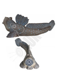 SRT Target 3D Saltafango Mudskipper