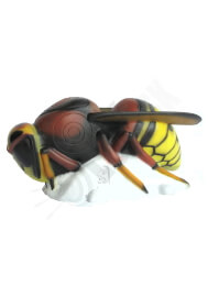 SRT 3D TARGET HORNET - GROUP 4 - L60cm H28cm