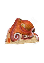Octopus SRT 3D target 56x45x42x cm