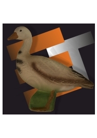 Eleven goose 3D