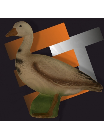 Eleven goose 3D