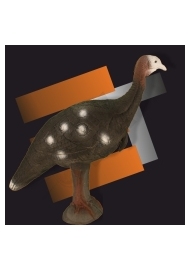 D turkey eleven