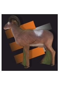 Sheep with insert ELEVEN