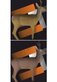 Deer eleven 3D with / wo horns