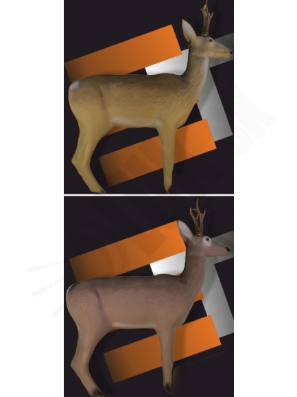 Deer eleven 3D with / wo horns