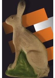 Eleven 3D rabbit