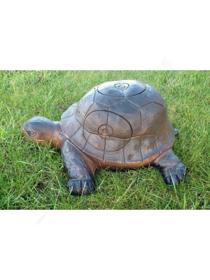 wild life 3D turtle