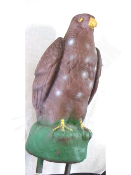 1.3.  sokol 3D Eleven (6331)