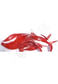 Letky GAS PRO elite TGT/Field/Indoor parabolic 2" (5599)