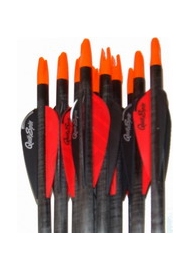 Šíp EASTON POWERFLIGHT 300/340/400/500 s letkami QUICKSPIN 2"