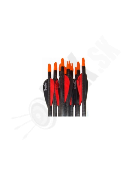 2.7. Šíp EASTON POWERFLIGHT 300/340/400/500 s letkami QUICKSPIN 2´´