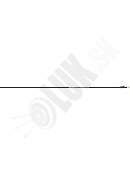 5.5. EASTON TRIUMPH duralovo-karbónový kompozit na halové súťaženie 9,3 mm