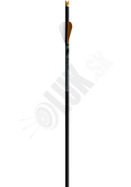 Karbónové šípy do kuše RAVIN R500 6 ks