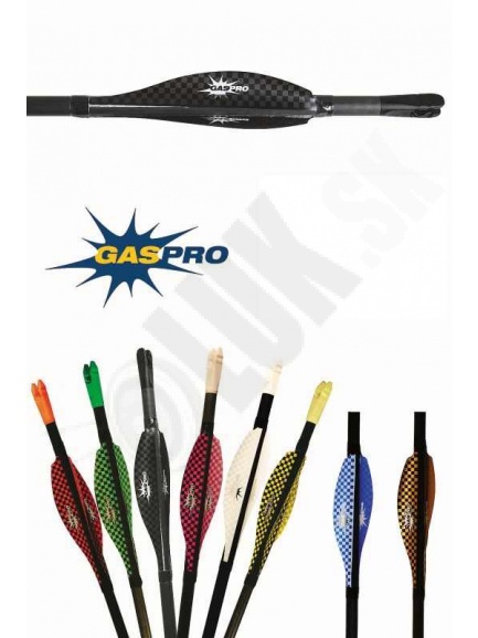 6.1.Letky GASPRO carbon shield Field 2´´/ target medium 2,5´´ (55981)