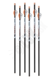 Šípy do kuše RAVIN 6 ks (0.001 presnosť) (50399)