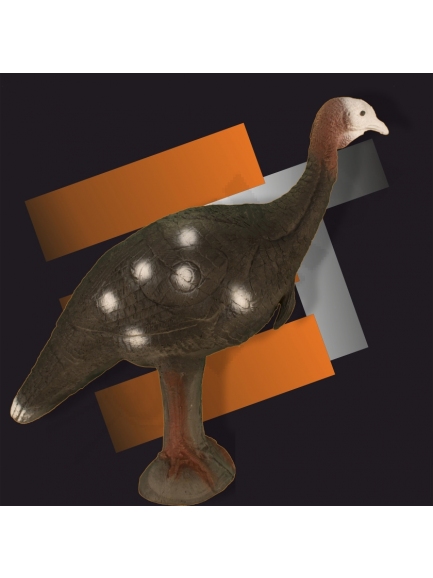 3.9.2. Eleven 3D moriak (6314)