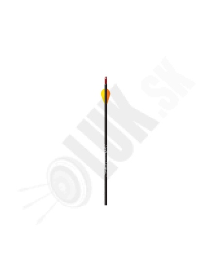 1.5. Šíp/trubka EASTON GAMEGETTER XX75 500/400/340/300  lov/terč