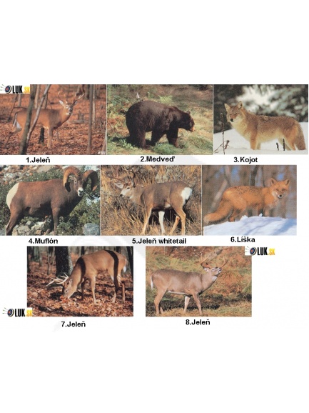 5. terče 2D Delta - fotografie/plagáty zvierat s označením vitálnych zón